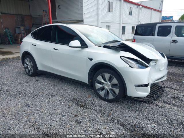 2022 TESLA MODEL Y 7SAYGDEE7NA012228