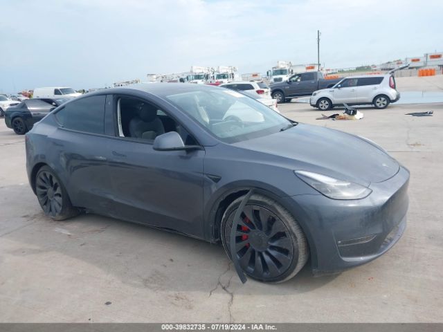 2022 TESLA MODEL Y 7SAYGDEF8NF466435