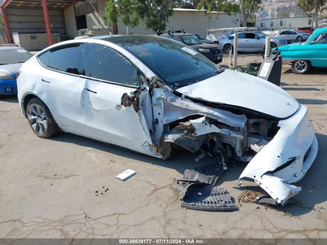 2021 TESLA MODEL Y 5YJYGDEE4MF213941