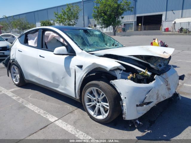 2021 TESLA MODEL Y 5YJYGAEEXMF197663