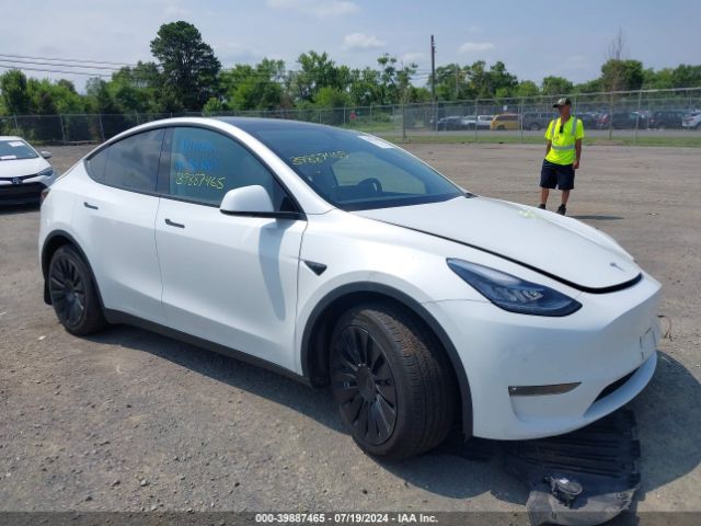 2023 TESLA MODEL Y 7SAYGDEE1PF611177