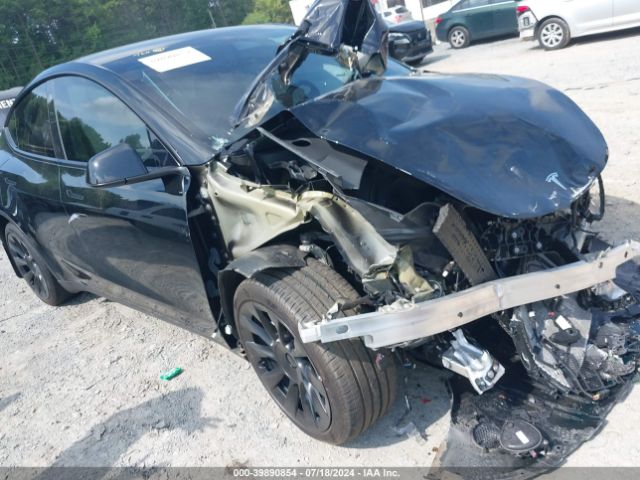 2023 TESLA MODEL Y 7SAYGDEE4PF756567