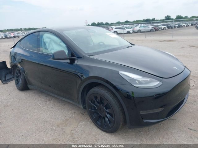 2024 TESLA MODEL Y 7SAYGDED8RF022380