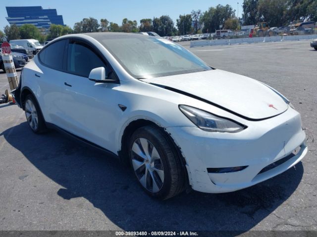 2023 TESLA MODEL Y 7SAYGDEE9PF807559