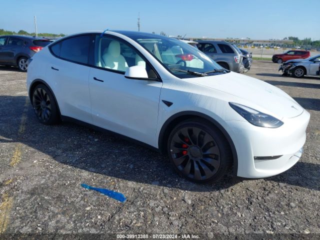 2023 TESLA MODEL Y 7SAYGDEF0PF705172