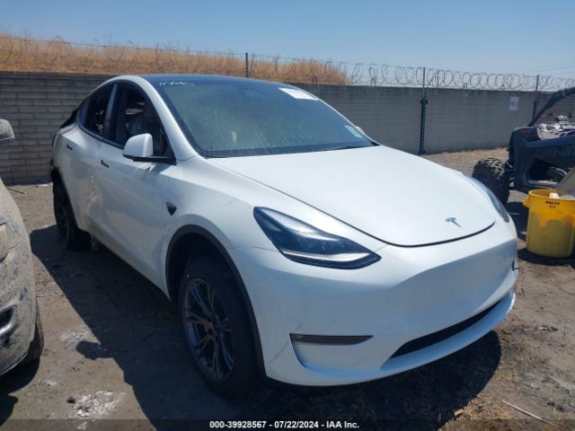 2024 TESLA MODEL Y 7SAYGAEEXRF122732