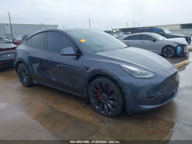 2022 TESLA MODEL Y 7SAYGDEF5NF324401