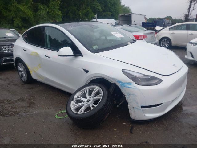 2023 TESLA MODEL Y 7SAYGDEE2PA188882