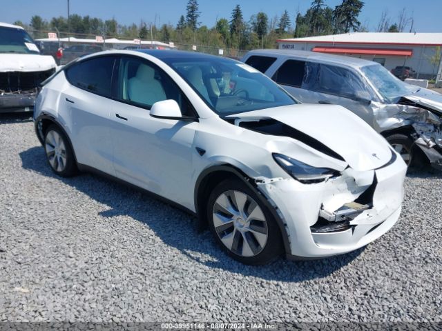 2024 TESLA MODEL Y 7SAYGAEE5RF077456