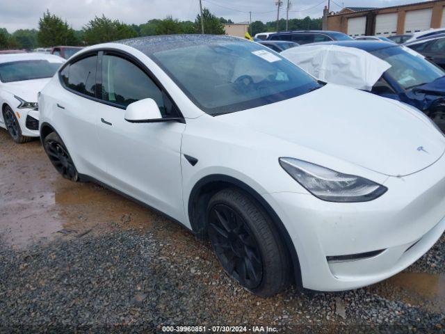 2022 TESLA MODEL Y 7SAYGDEE7NF567781