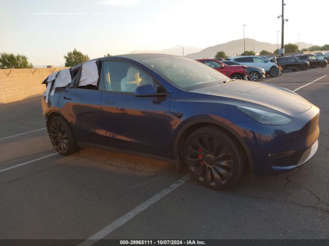 2023 TESLA MODEL Y 7SAYGDEF5PF914536