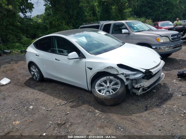 2021 TESLA MODEL Y 5YJYGDEE6MF255074