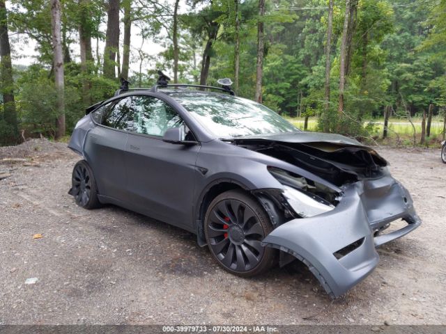 2023 TESLA MODEL Y 7SAYGDEF7PF827169