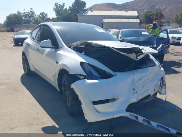 2024 TESLA MODEL Y 7SAYGDEF2RF045204