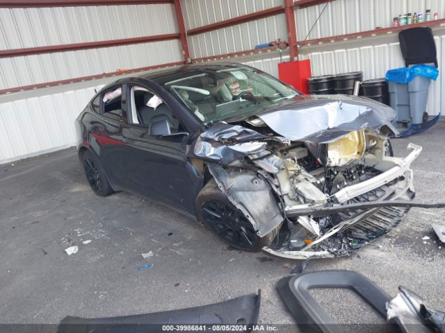 2023 TESLA MODEL Y 7SAYGAEE1PF772949