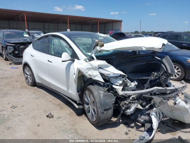 2022 TESLA MODEL Y 7SAYGDEEXNA009906