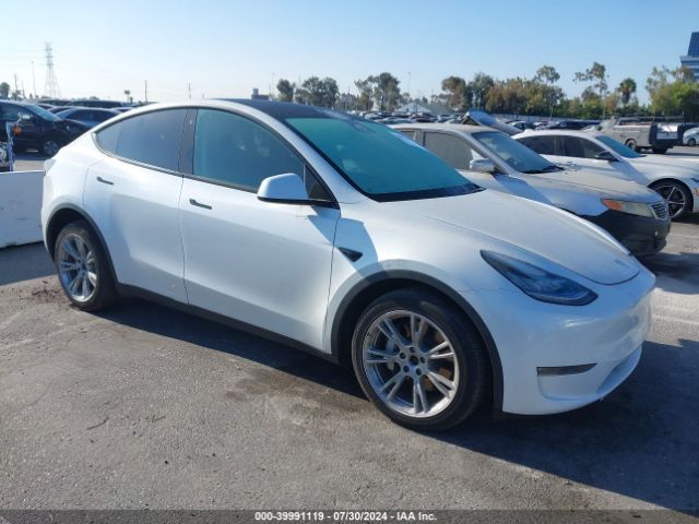 2021 TESLA MODEL Y 5YJYGDEE7MF092208