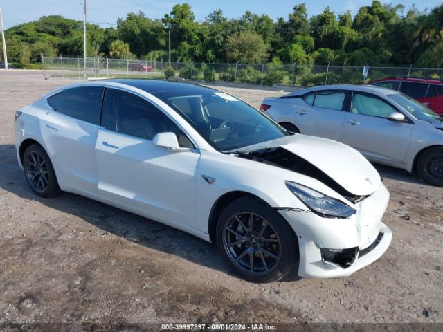 2019 TESLA MODEL 3 5YJ3E1EB9KF493552