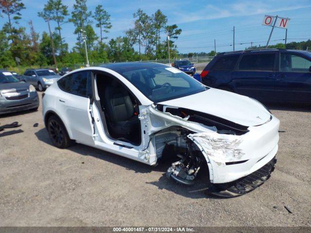 2024 TESLA MODEL Y 7SAYGDEE0RA260570