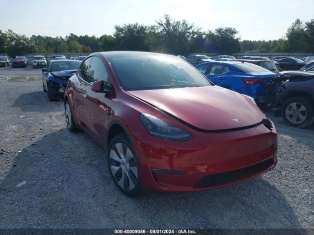 2024 TESLA MODEL Y 7SAYGDEEXRA271866
