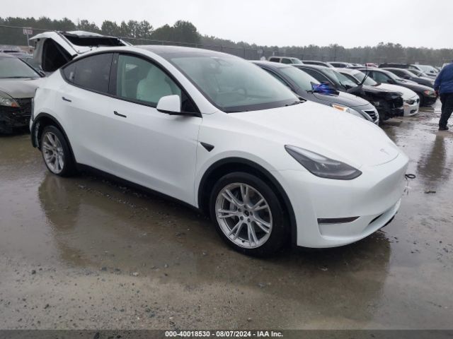 2023 TESLA MODEL Y 7SAYGDEE2PF789020