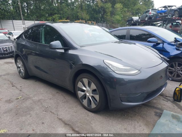 2020 TESLA MODEL Y 5YJYGDEE9LF031540