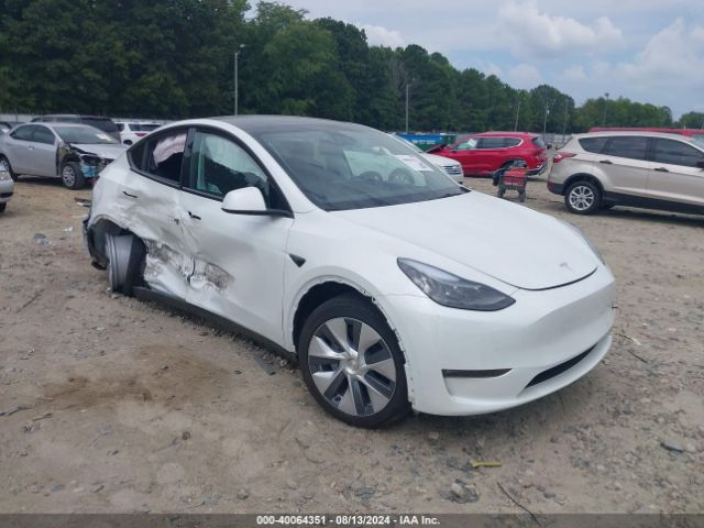 2023 TESLA MODEL Y 7SAYGDED6PF957135
