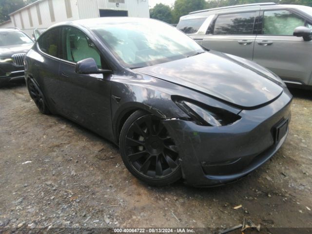 2023 TESLA MODEL Y 7SAYGDEE5PF637572