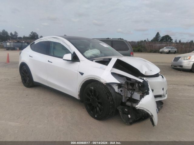 2023 TESLA MODEL Y 7SAYGDEE9PF627465