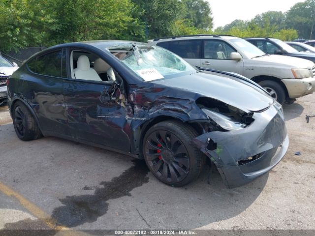 2024 TESLA MODEL Y 7SAYGDEF3RF022885