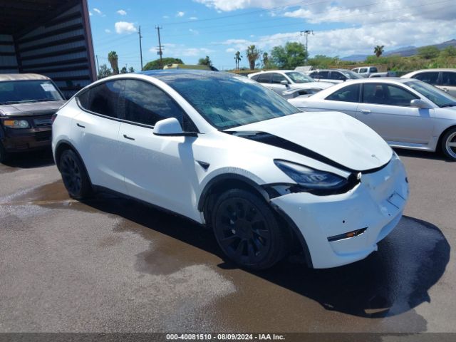 2021 TESLA MODEL Y 5YJYGDEE2MF087059