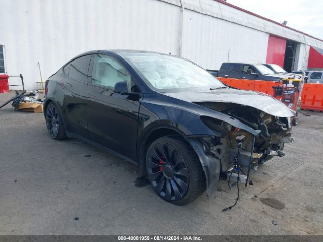 2024 TESLA MODEL Y 7SAYGDEF5RF050283