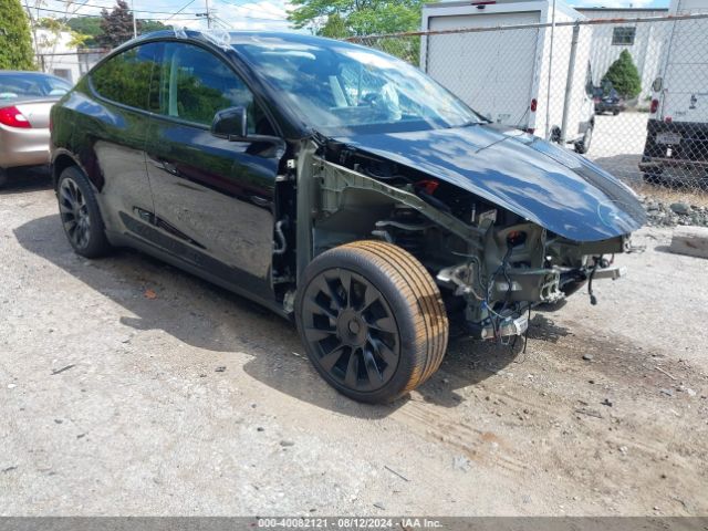 2023 TESLA MODEL Y 7SAYGDEE5PA166861