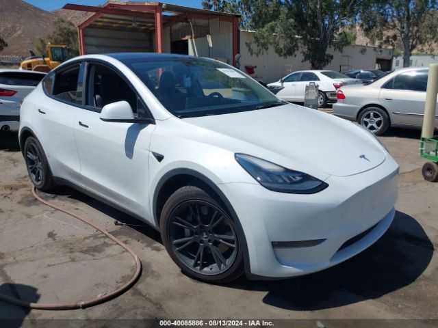 2021 TESLA MODEL Y 5YJYGAEE4MF191809