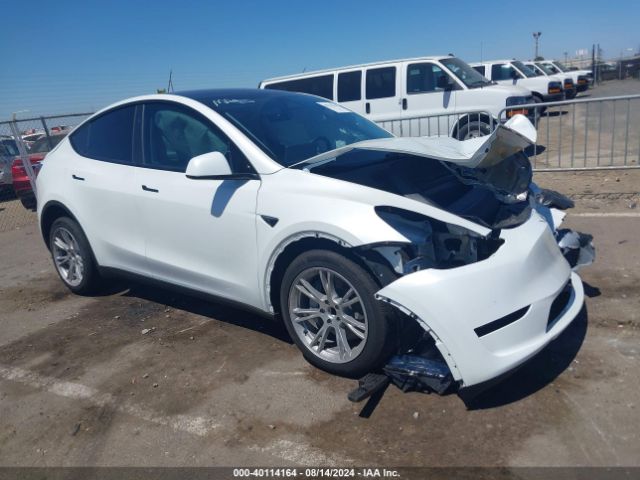 2024 TESLA MODEL Y 7SAYGDED5RF015600