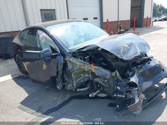 2024 TESLA MODEL Y 7SAYGDEE2RA266631