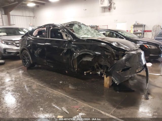 2023 TESLA MODEL Y 7SAYGDEE2PF756180