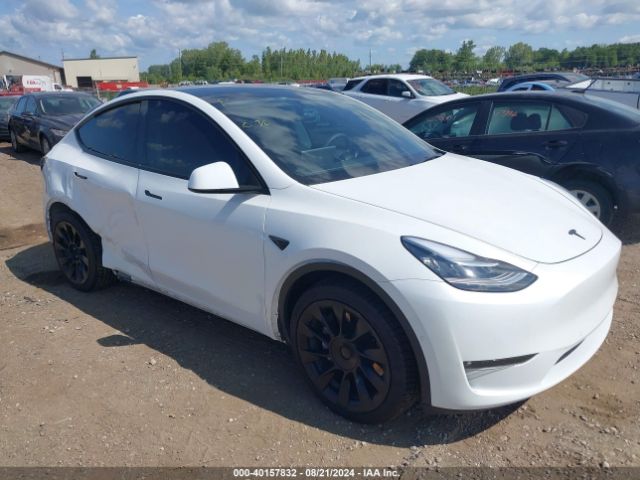 2021 TESLA MODEL Y 5YJYGDEE0MF295795