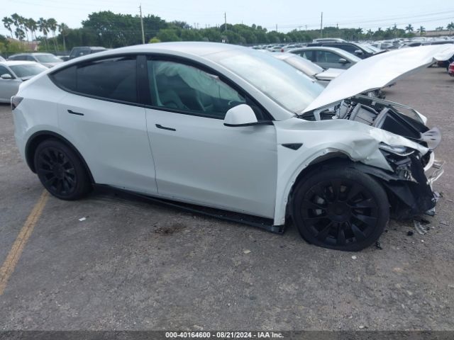 2021 TESLA MODEL Y 5YJYGDEE0MF260819