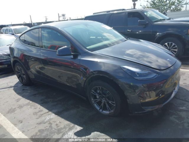 2024 TESLA MODEL Y 7SAYGDEE0RF125799