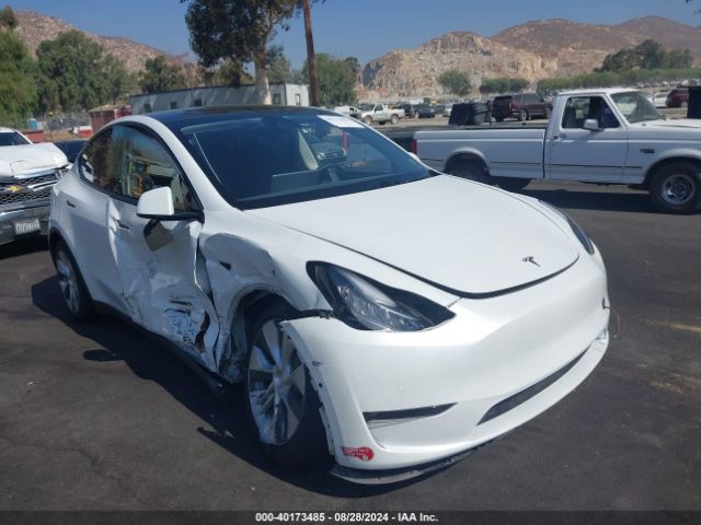 2022 TESLA MODEL Y 7SAYGAEE4NF569521