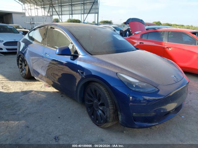2023 TESLA MODEL Y 7SAYGDEF7PF967903