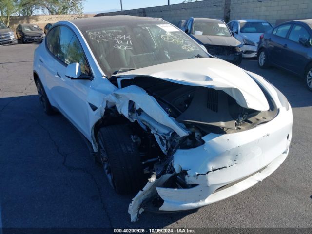 2024 TESLA MODEL Y 7SAYGDED0RF163654