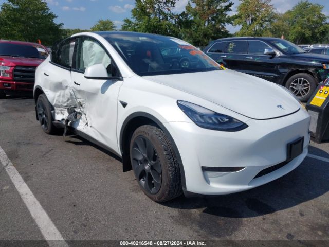 2023 TESLA MODEL Y 7SAYGDEE7PA097672