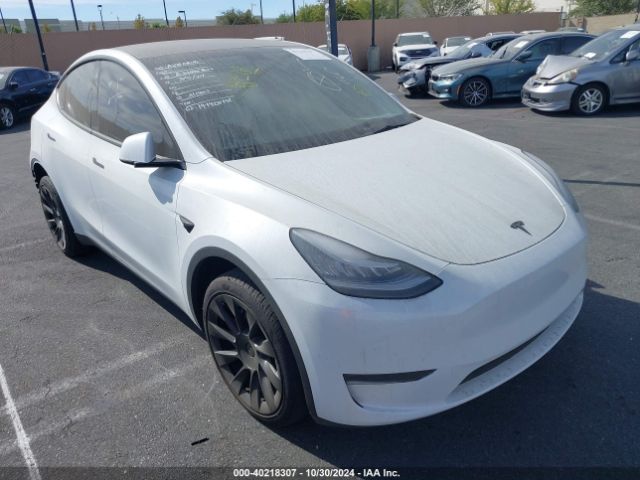 2023 TESLA MODEL Y 7SAYGDEE9PA071445