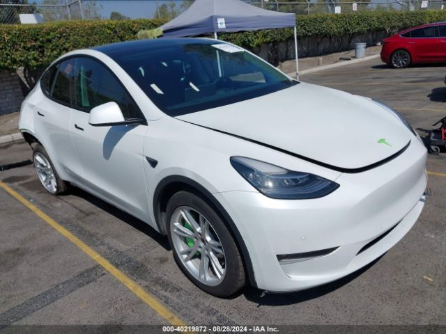 2022 TESLA MODEL Y 7SAYGDEE6NF362890