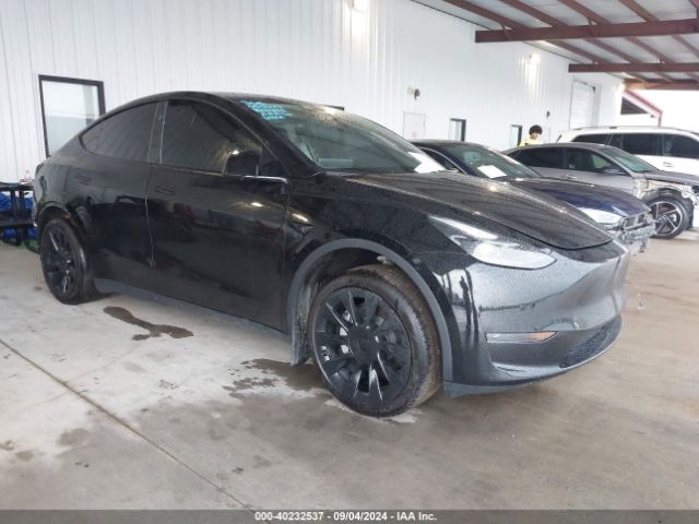 2024 TESLA MODEL Y 7SAYGDED8RF053547