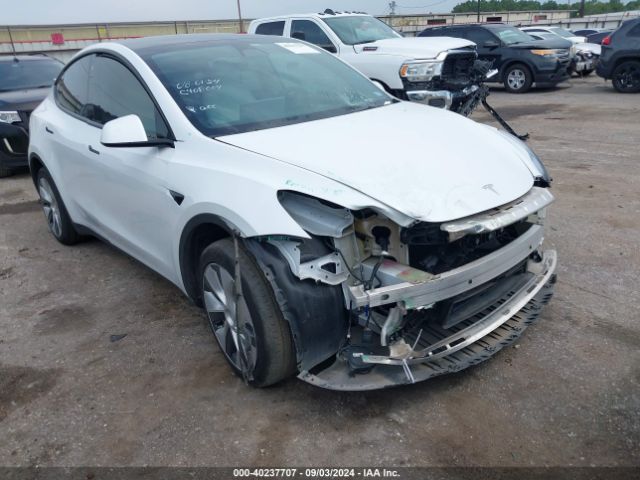 2023 TESLA MODEL Y 7SAYGDEE1PF612720