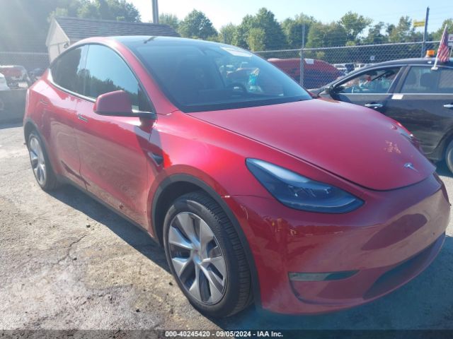 2023 TESLA MODEL Y 7SAYGDEE8PA179586