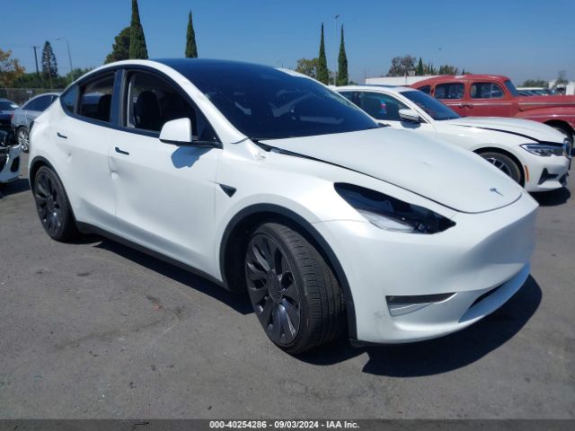 2023 TESLA MODEL Y 7SAYGDEF5PF839594